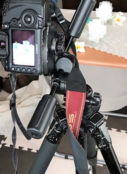 フリーマガジン「テニテオ」の撮影_f0168317_20203411.jpg