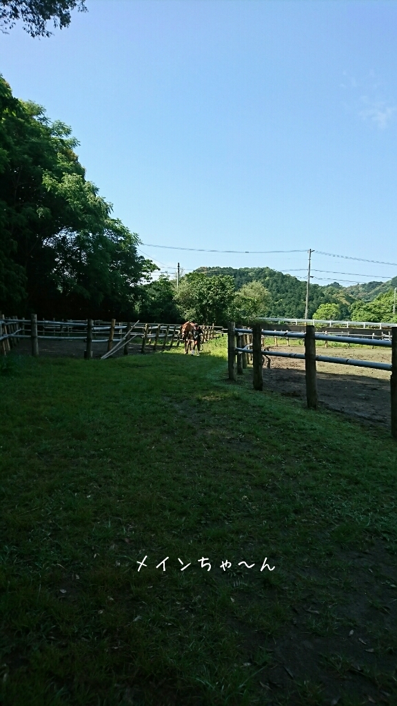 b0187620_21225510.jpg