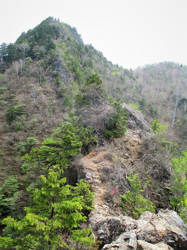 奥秩父　アカヤシオ咲く八丁尾根から両神山　　　　　Mount Ryōkami in Chichibu-Tama-Kai NP_f0308721_4463027.jpg