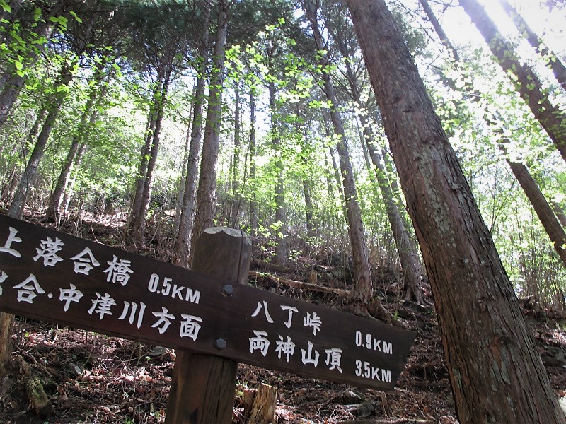 奥秩父　アカヤシオ咲く八丁尾根から両神山　　　　　Mount Ryōkami in Chichibu-Tama-Kai NP_f0308721_4492916.jpg