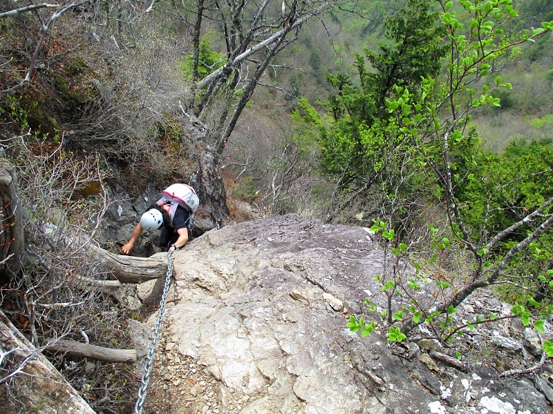 奥秩父　アカヤシオ咲く八丁尾根から両神山　　　　　Mount Ryōkami in Chichibu-Tama-Kai NP_f0308721_551930.jpg