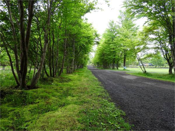 週末の天気と気温（5月4週目）_b0174425_19591385.jpg