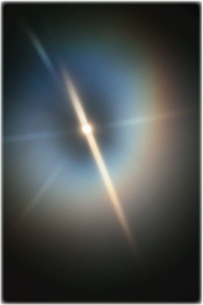 c0107829_00043273.gif