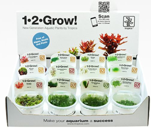 トロピカ社の１ ２ Grow アクア エフ の入荷情報