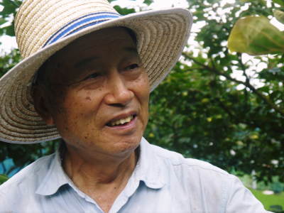 太秋柿　古川果樹園　今年も元気な花が咲きました！花の様子を現地取材！_a0254656_18340104.jpg