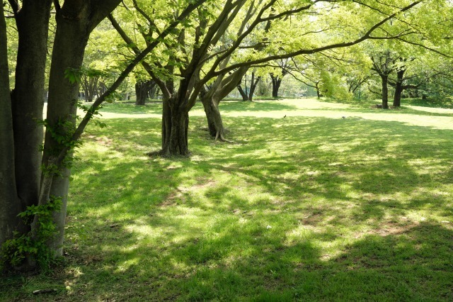f0129062_22044886.jpg