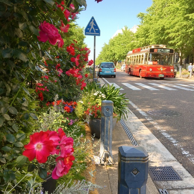 Garden Necklace Yokohama 2017_f0370769_12542136.jpg