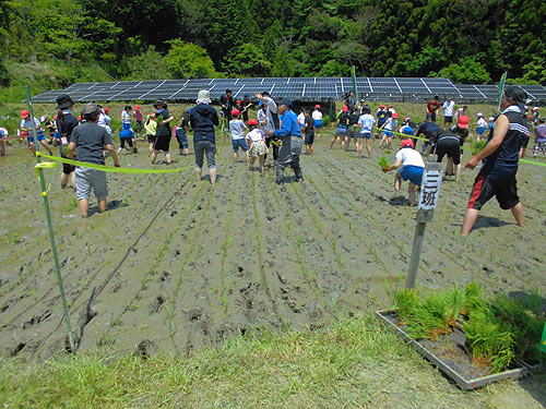 田植え体験(月光原小・西根小) _d0247484_1552481.jpg