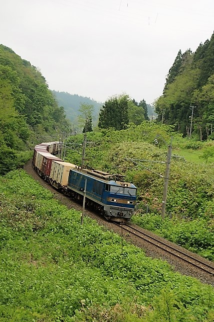 藤田八束の鉄道写真@新緑の森の中から貨物列車登場青森県鶴ヶ坂にて・・・新緑と貨物列車EF510_d0181492_00163557.jpg