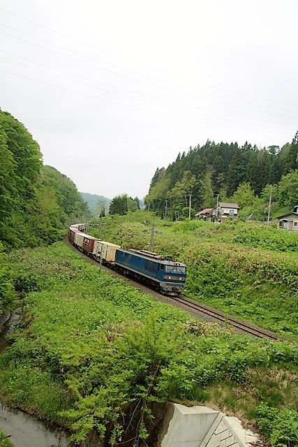 藤田八束の鉄道写真@新緑の森の中から貨物列車登場青森県鶴ヶ坂にて・・・新緑と貨物列車EF510_d0181492_00170611.jpg