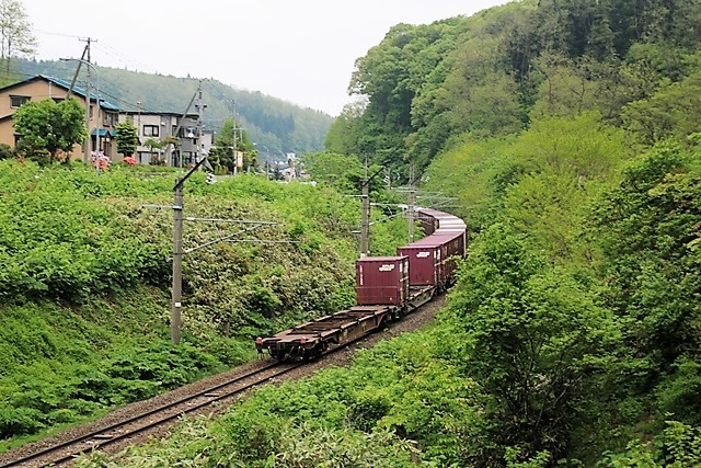 藤田八束の鉄道写真@新緑の森の中から貨物列車登場青森県鶴ヶ坂にて・・・新緑と貨物列車EF510_d0181492_00191637.jpg