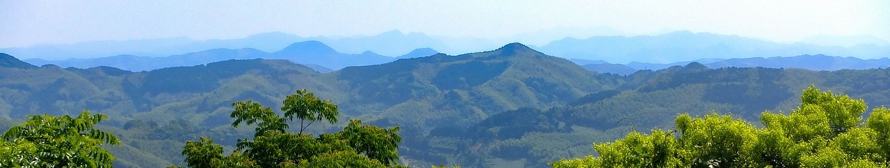 e0176993_06335770.jpg