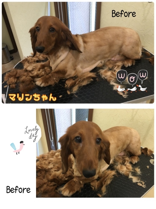 d0269898_11281965.jpeg