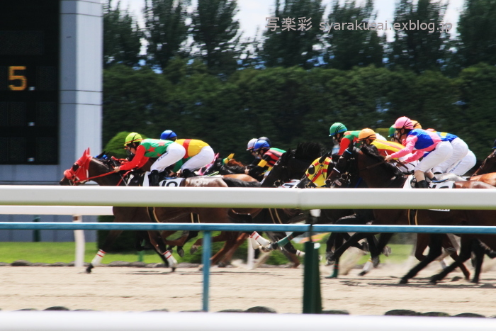 京都競馬場に行く5_b0191505_20065678.jpg