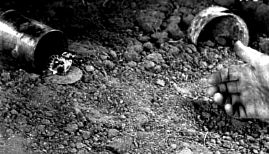 a0212807_19582794.png