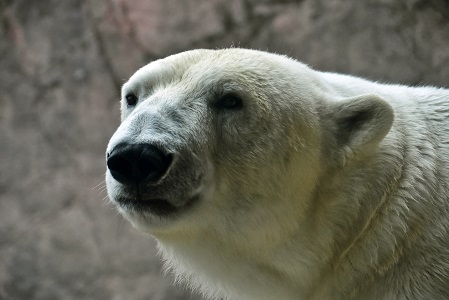 a0151913_23371046.jpg