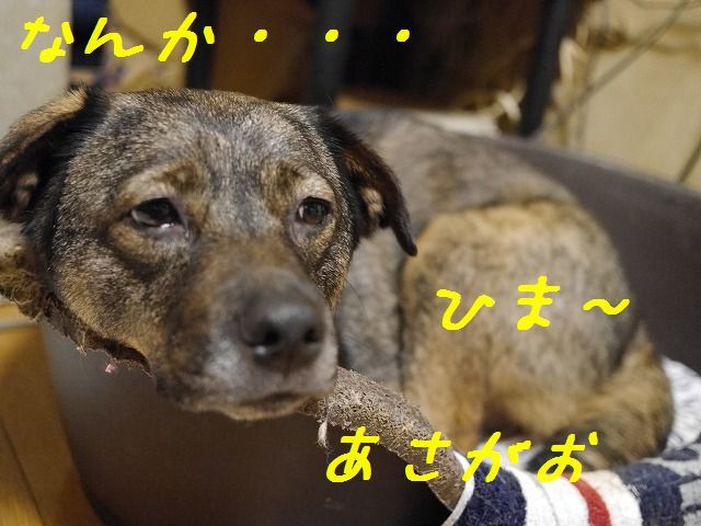 f0282319_07562416.jpg