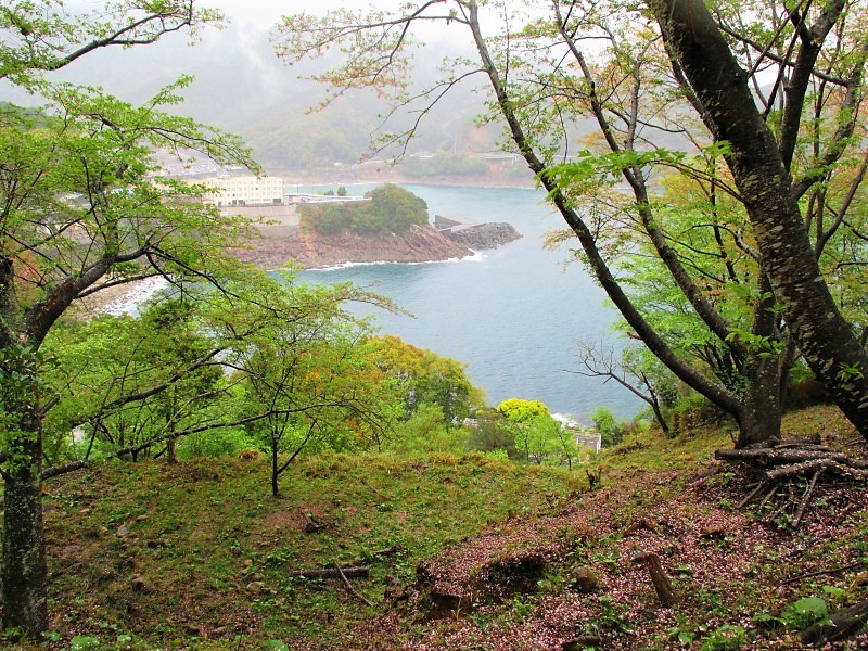 世界遺産　熊野古道の旅　松本峠から桜の道を歩き鬼ヶ城へ　　　　Kumano Kodō in Yoshino-Kumano NP_f0308721_3255573.jpg