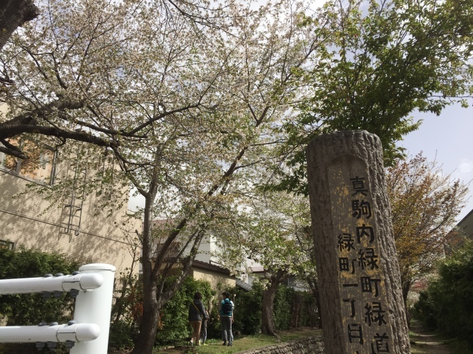 【先日の花見2017!!】_e0255945_13524331.jpg