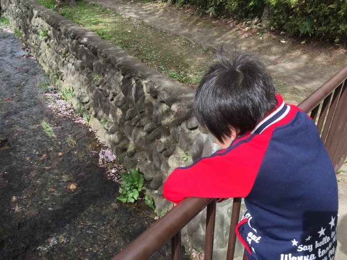 【先日の花見2017!!】_e0255945_13543967.jpg
