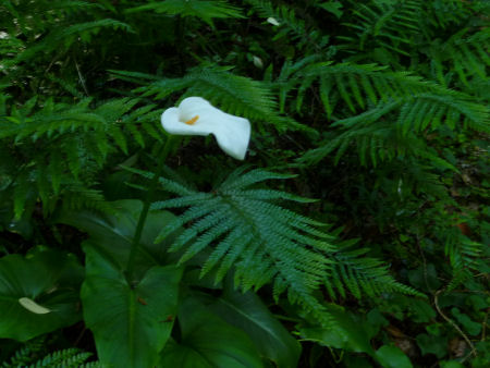 b0002549_1144490.jpg