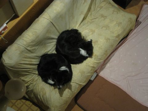 f0236653_07570736.jpg