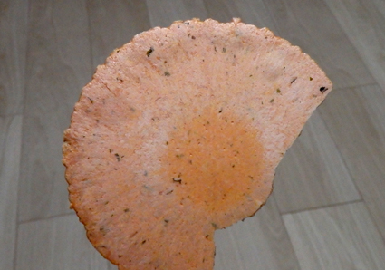 d0218056_1911246.jpg