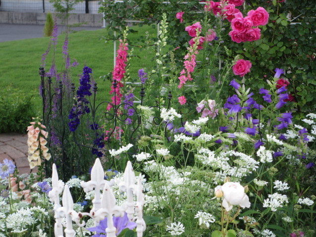 新しい庭、2度目の初夏はバラ「パレード」と草花が素敵にコラボ_a0243064_23575675.jpg