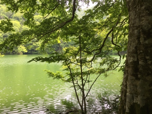 東北半島巡り　白神山地十二湖_d0143475_09512665.jpg