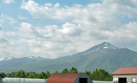 f0083977_812932.jpg