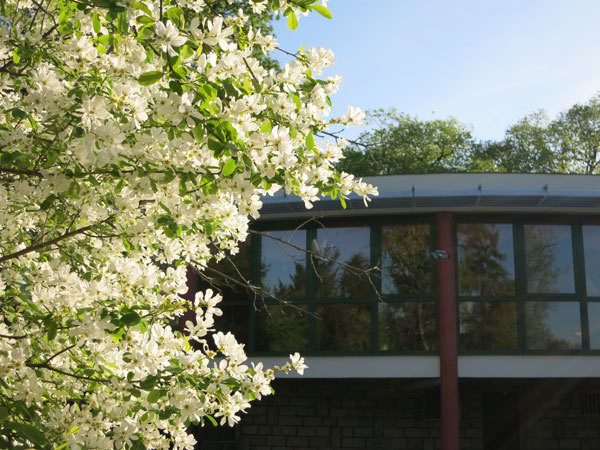 f0176688_15304460.jpg