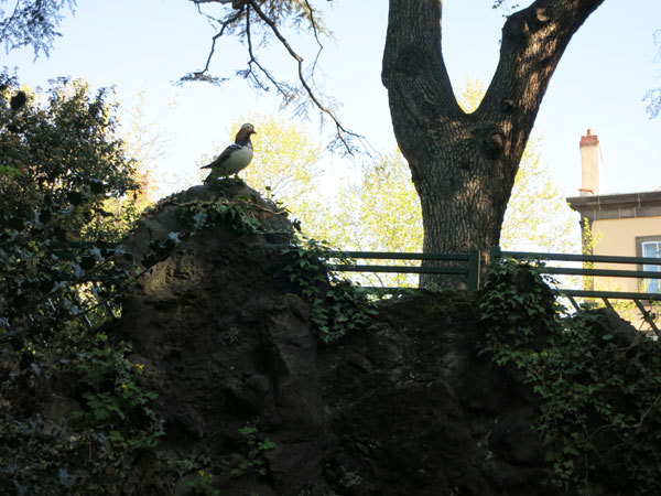 f0176688_15474870.jpg