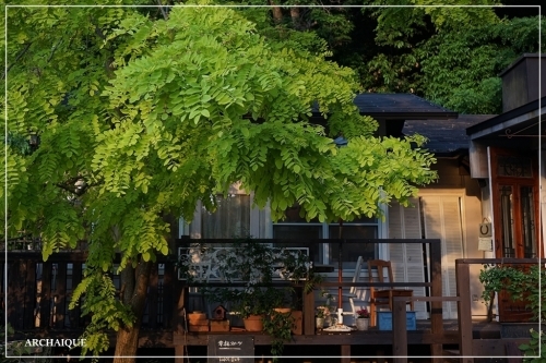 ** ローズガーデン ** 森の工房 **_c0207890_15094524.jpg