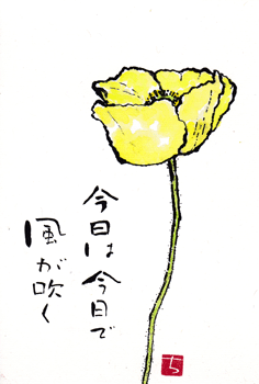 ポピー・五月の風_a0030594_22462922.gif