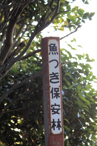 c0368903_18124443.jpg