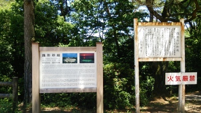 c0030607_14121462.jpg
