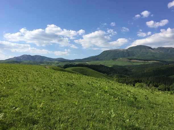f0364707_19414625.jpg