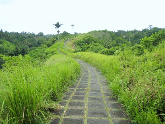 f0032812_17460144.jpg