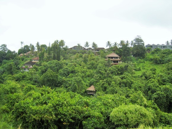 f0032812_17470643.jpg