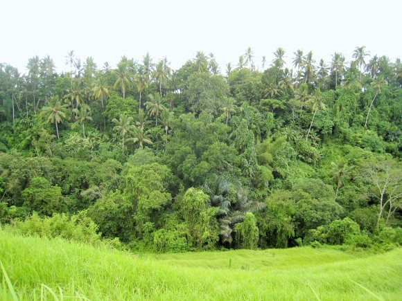 f0032812_17481657.jpg