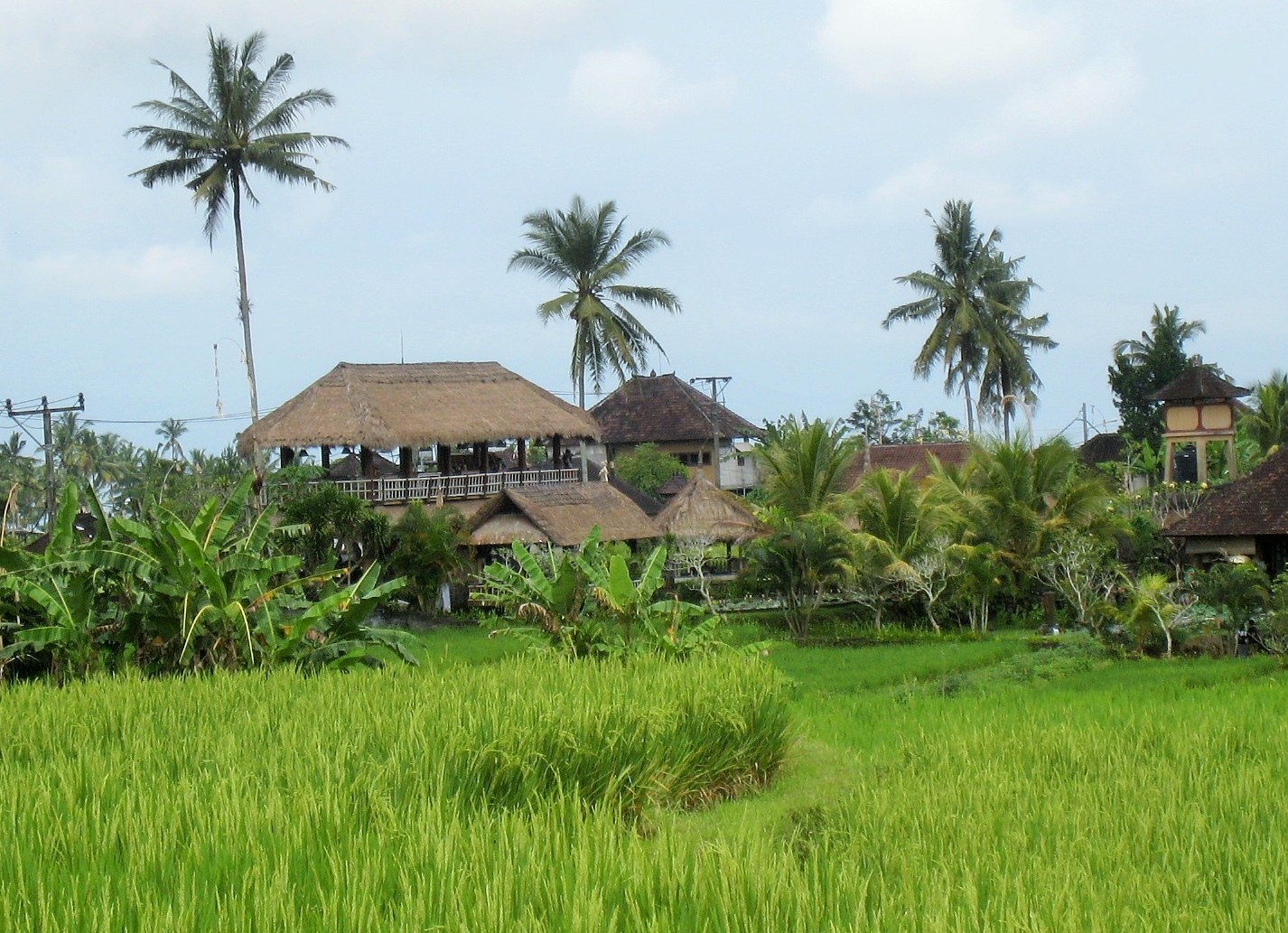 f0032812_17544897.jpg
