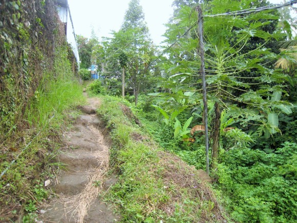 f0032812_21491720.jpg