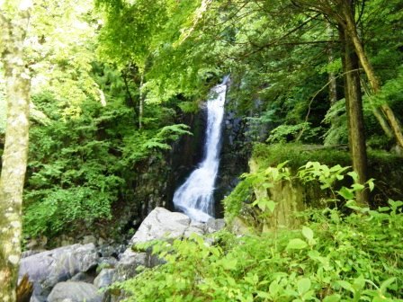 奥三界岳　登山　岐阜　17.5.27（土）_e0333313_15084826.jpg