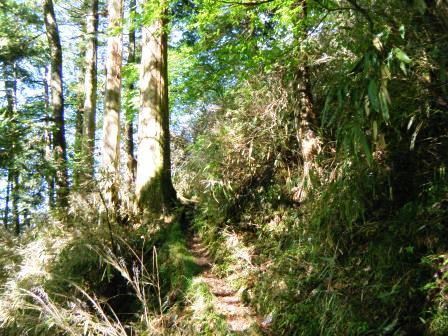 奥三界岳　登山　岐阜　17.5.27（土）_e0333313_15114658.jpg