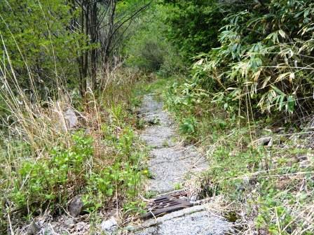 奥三界岳　登山　岐阜　17.5.27（土）_e0333313_15193381.jpg