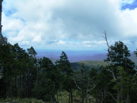 奥三界岳　登山　岐阜　17.5.27（土）_e0333313_15402282.jpg