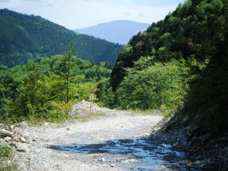 奥三界岳　登山　岐阜　17.5.27（土）_e0333313_16025839.jpg