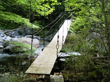 奥三界岳　登山　岐阜　17.5.27（土）_e0333313_16180782.jpg