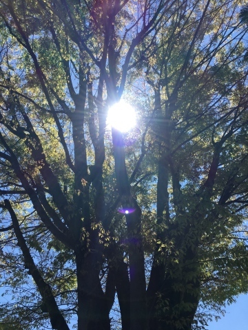 f0356718_22092534.jpg
