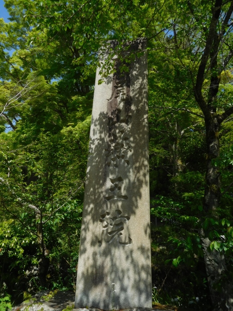東京都 青梅・奥多摩 その 2 鳩ノ巣渓谷、高尾山_e0345320_22372506.jpg